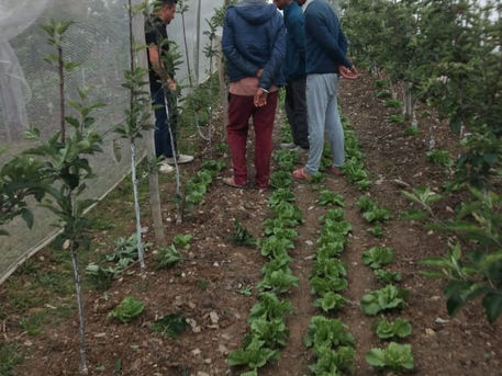 About Himachal Farmers 