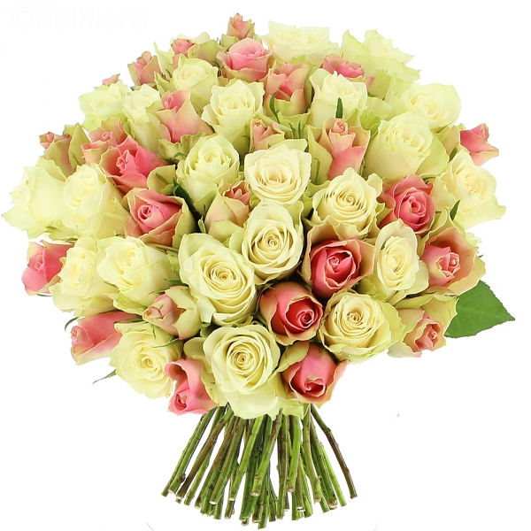 55 кремовых розовых роз - 8250 р.