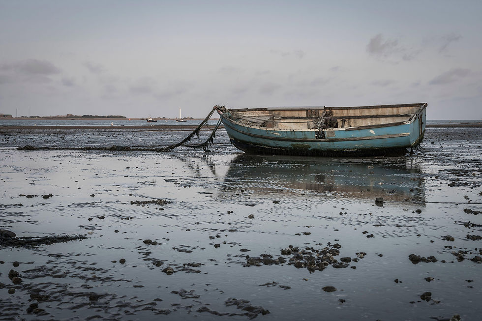 coastal-lives-04.jpg