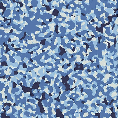 Camo .jpg