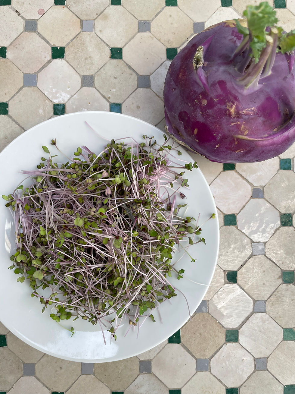 תמונה ממוזערת: זרעי קולורבי סגול