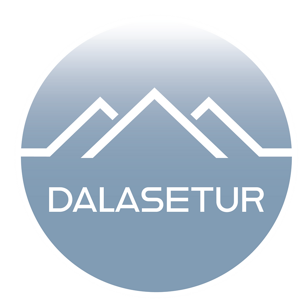 Dalasetur-logo.png
