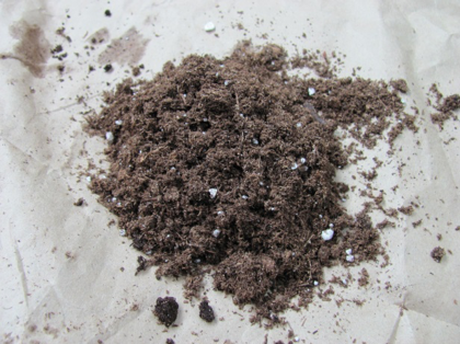 Seedling mix before adding water