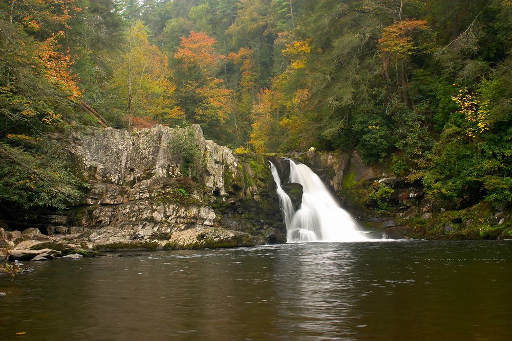 image (72).png