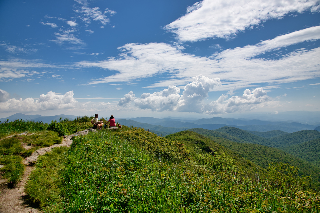 Black Balsam Knob Trail.jpeg