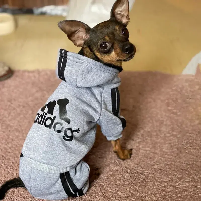 Miniatura: Roupas para Pets