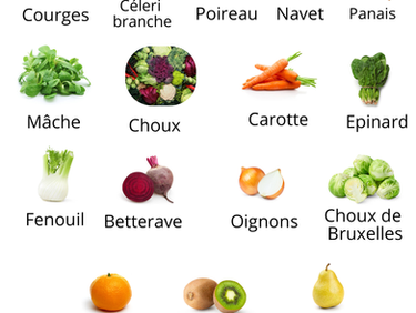 Fruits et légumes du mois de Novembre