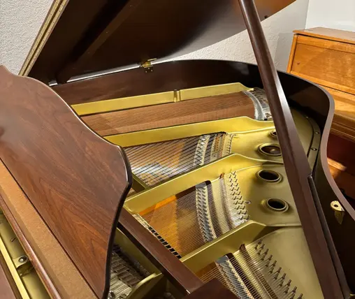 Yamaha G1 baby grand piano harp and strings photographed at Rockafellow Piano in San Antonio Texas.