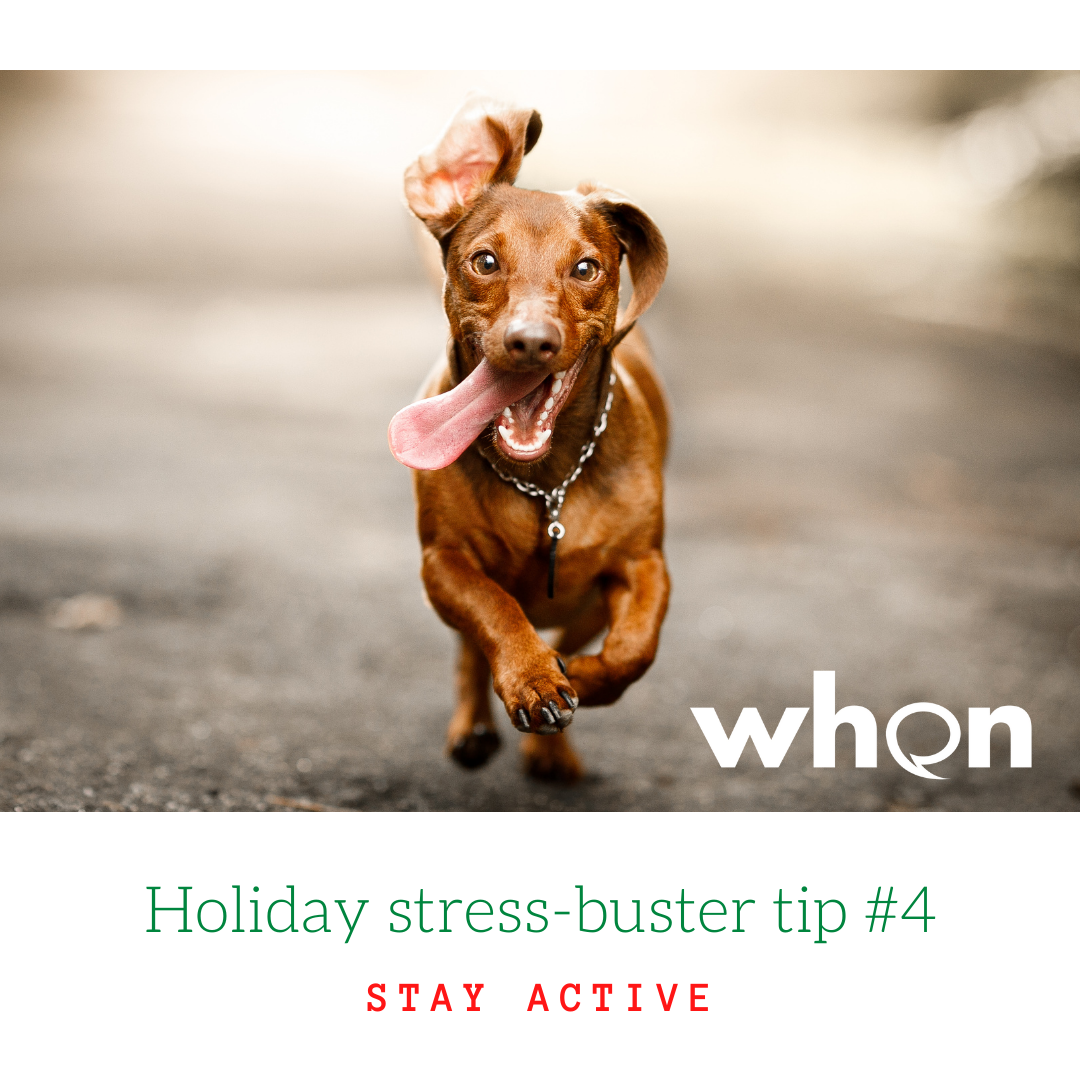 Holiday SB 4 active (1)