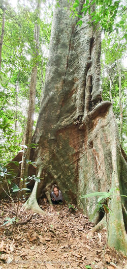 IMG-20200115-WA0224
