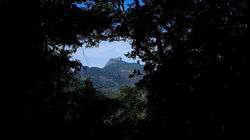 IMG-20190818-WA0055