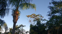 IMG_20170618_154313452