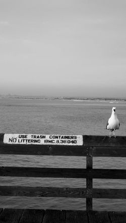 #occupyseagull protest 1