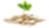 Microfinances