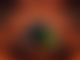 Was zur Hölle - Die Offseason