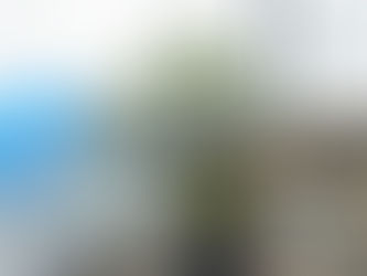 Interview mit Panthers DB Marko Vidackovic