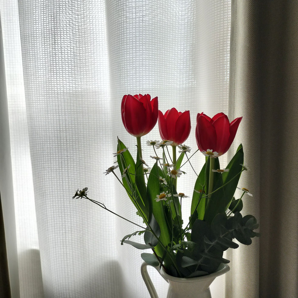1月備忘録/スケートと展示とお花