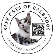 SCB logo and GFM.jpg