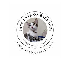SCB logo no QR.jpg