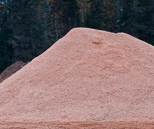 Sawdust (2).jpeg
