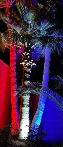 Red,White, and Blue tree uplighting in Las Vegas