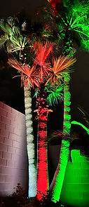 Christmas style smart lights on tree in Las Vegas