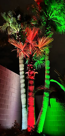 Christmas colors Smart lights on plam trees in Las Vegas
