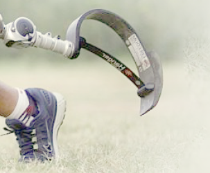 Connecting Wellness