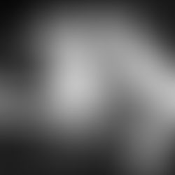 Westside Cowboy Tour