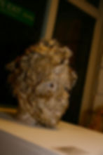 Presence (Living Sculpture Plinth)