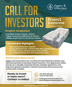Call for Investors (Project Cezanne).png