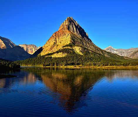 shutterstock_549788470.jpg