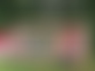 IT AIN'T ALL ABOUT THE EGG. IT'S ABOUT THE EXPERIENCE.