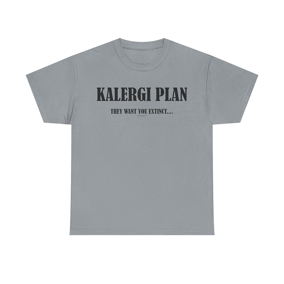 Thumbnail: Kalergi Plan T-Shirt Immigration
