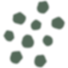 Zilla_GraphicElements_Flower2-WEBRES (1)