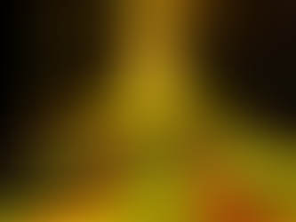 Durabilité  Écologie  Responsabilité environnementale  Économie circulaire  Respect de la nature