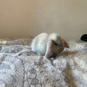 IMG_6763.jpeg
