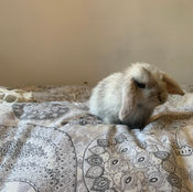 IMG_6764.jpeg