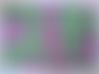 חרדת הדף הלבן