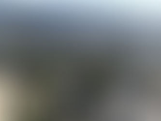 על חיפוש דירה במדינה זרה