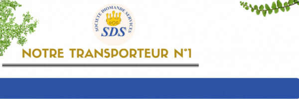 Pub SDS Mairie de Danané.gif