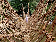 pont de liane à Danané