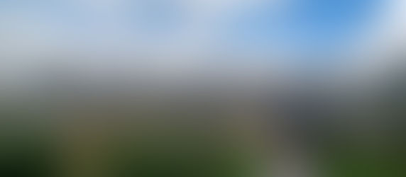 Trelleborg Wikingerburg