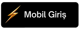 Mobil GiriÅŸ.png