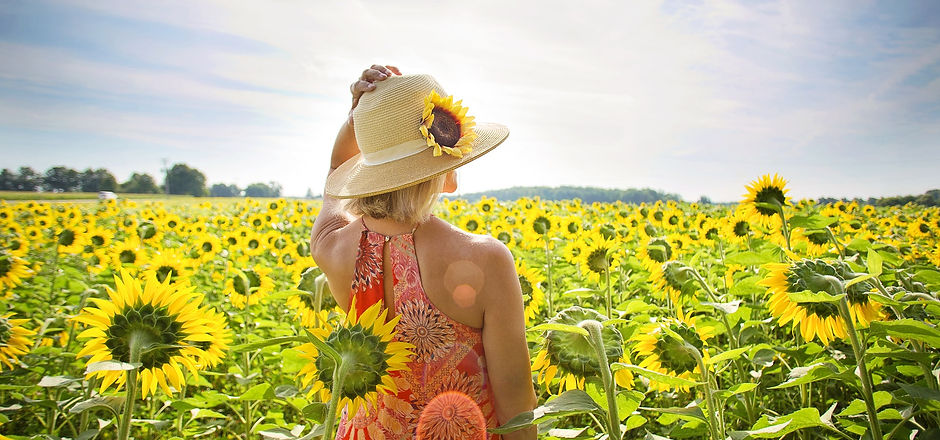 sunflowers-3640935_1920.jpg