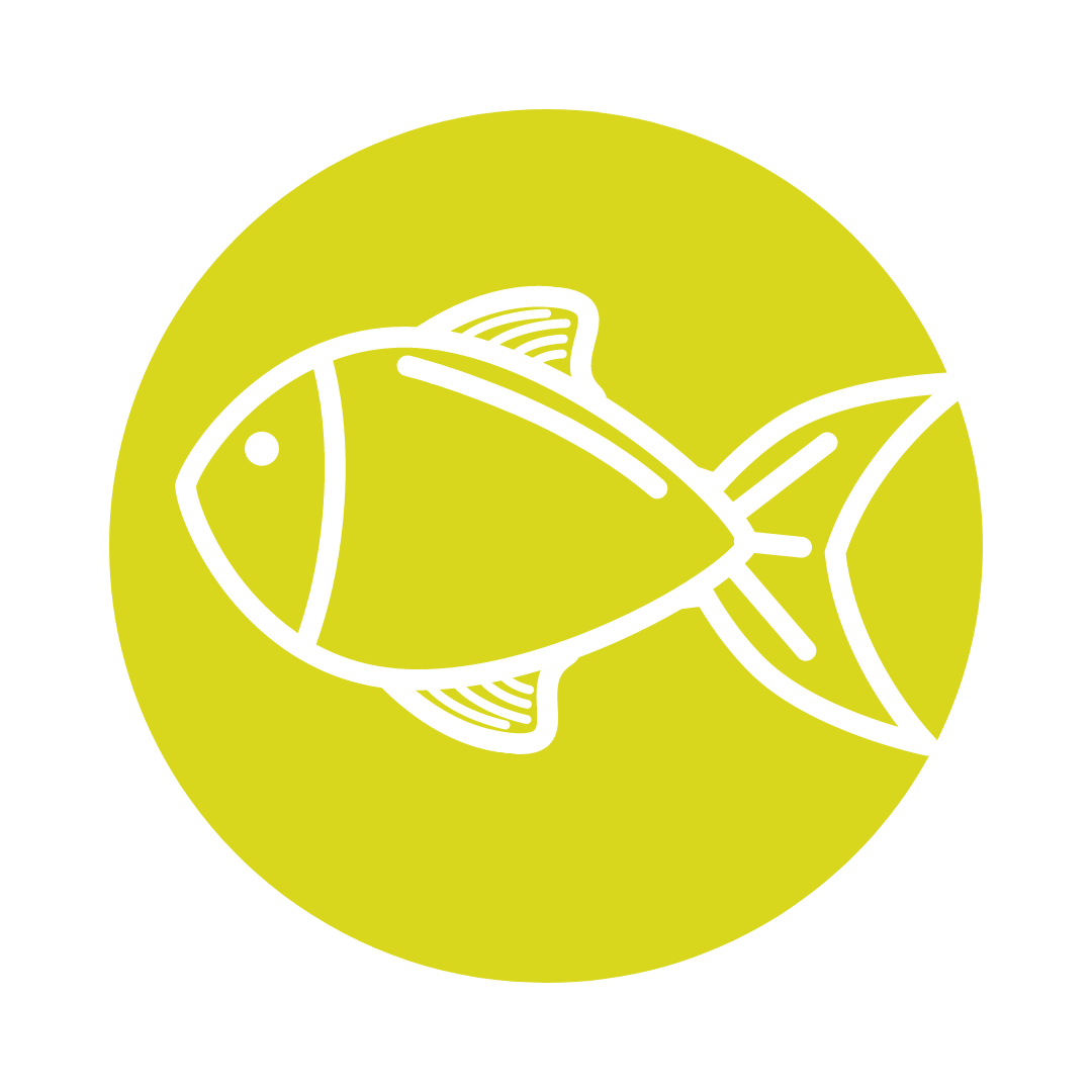 Fish Friends I Ages 5-8