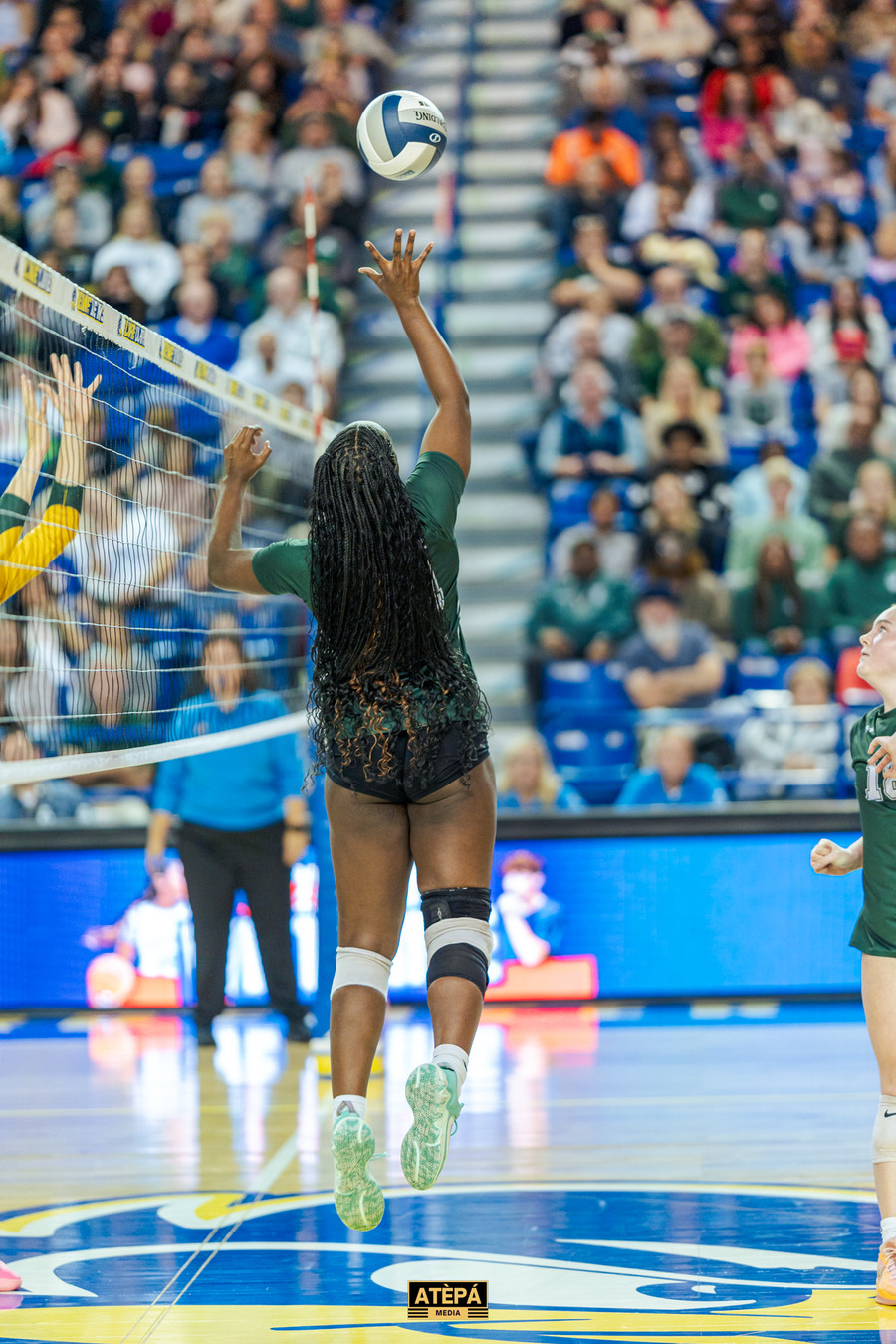 Tower Hill Volleyball – Delaware State Championships, Wilmington DE, photo 95 — Atèpá Media