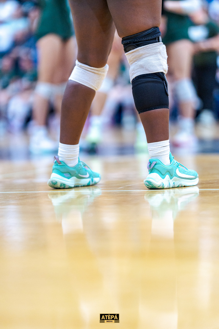 Tower Hill Volleyball – Delaware State Championships, Wilmington DE, photo 60 — Atèpá Media