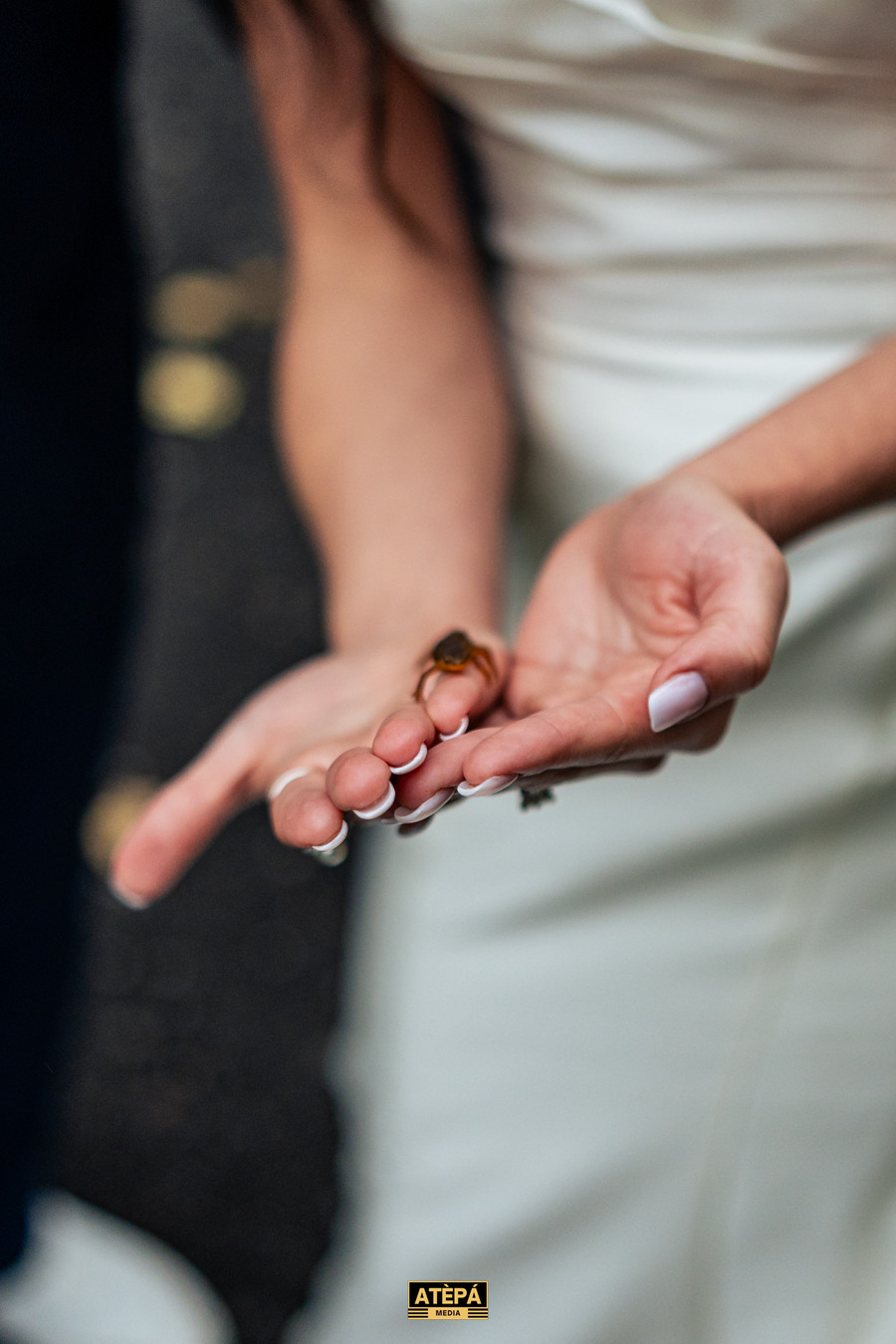 John & Morgan’s Full Day Wedding – Pawling, NY, photo 229 — Atèpá Media