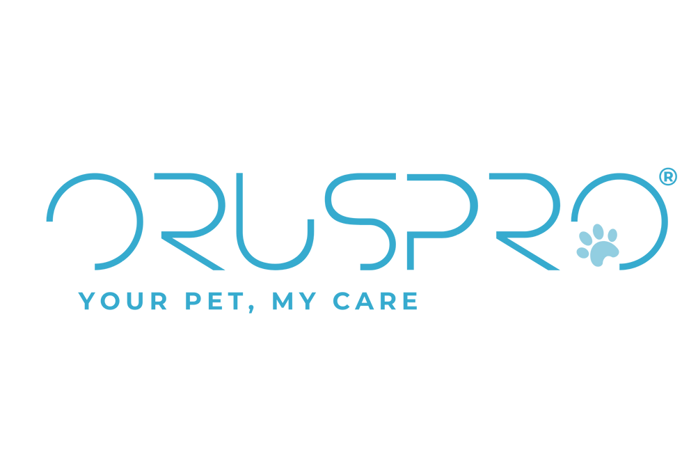 oruspro logo (25).png